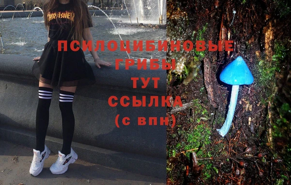 PSILOCYBIN Козельск