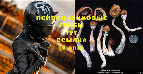 ALPHA PVP Козловка