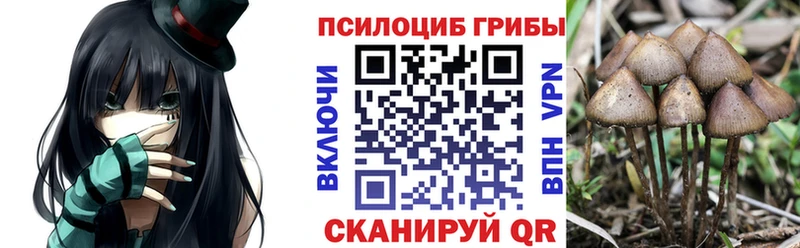 Купить  Циолковский  Галлюциногенные грибы мухоморы 